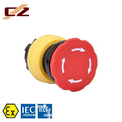 IECEx and ATEX IP66 Certified Plastic Explosion-proof Pushbutton Switch, P6 Twisted Pushbutton Switch